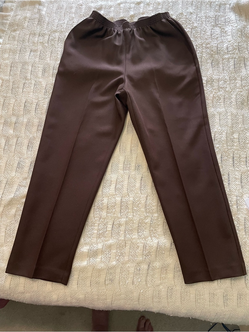 Alfred Dunner Women’s Dark Brown Pants Size 10P